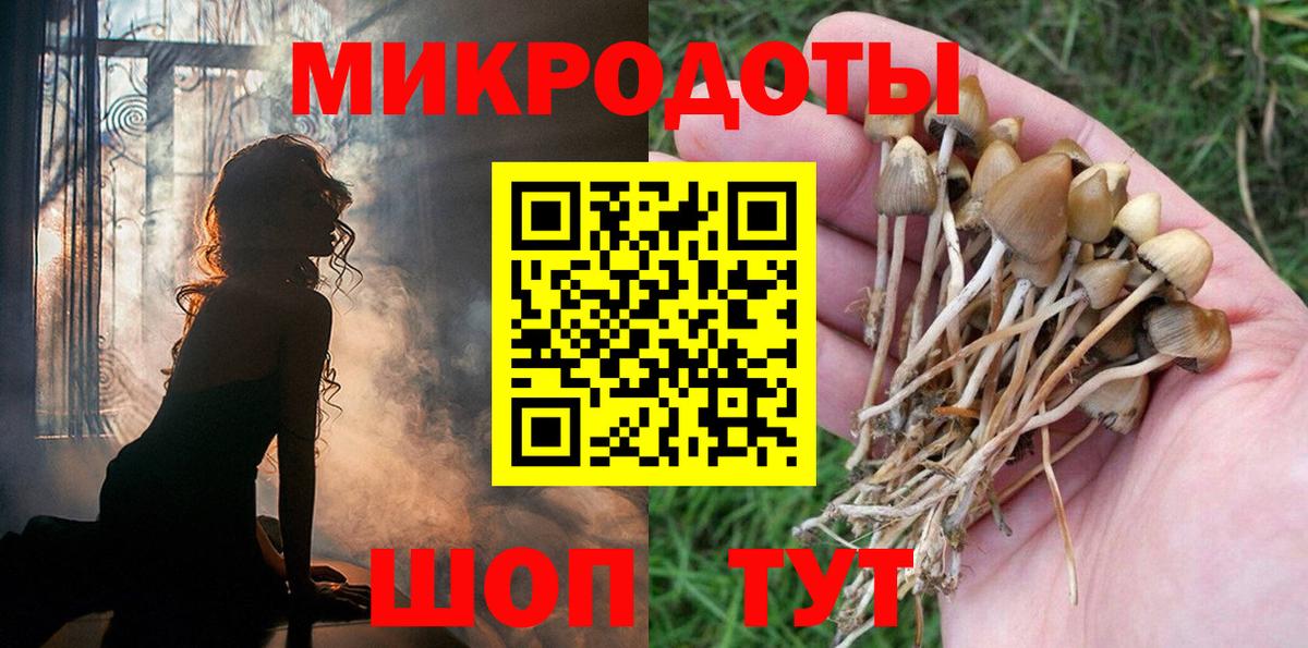 Соль-Илецк  закладки  Вход с VPN  Галлюциногенные грибы ЛСД 