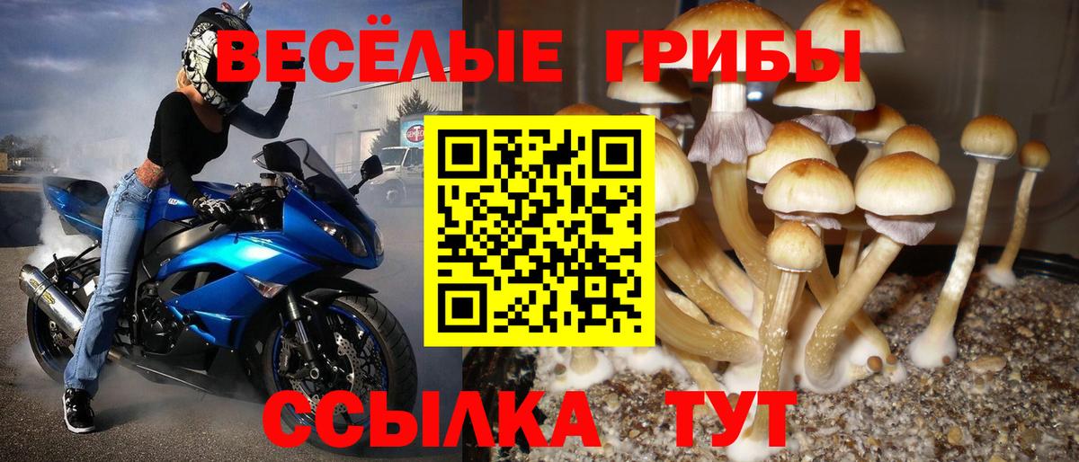 Псилоцибиновые грибы Magic Shrooms Соль-Илецк